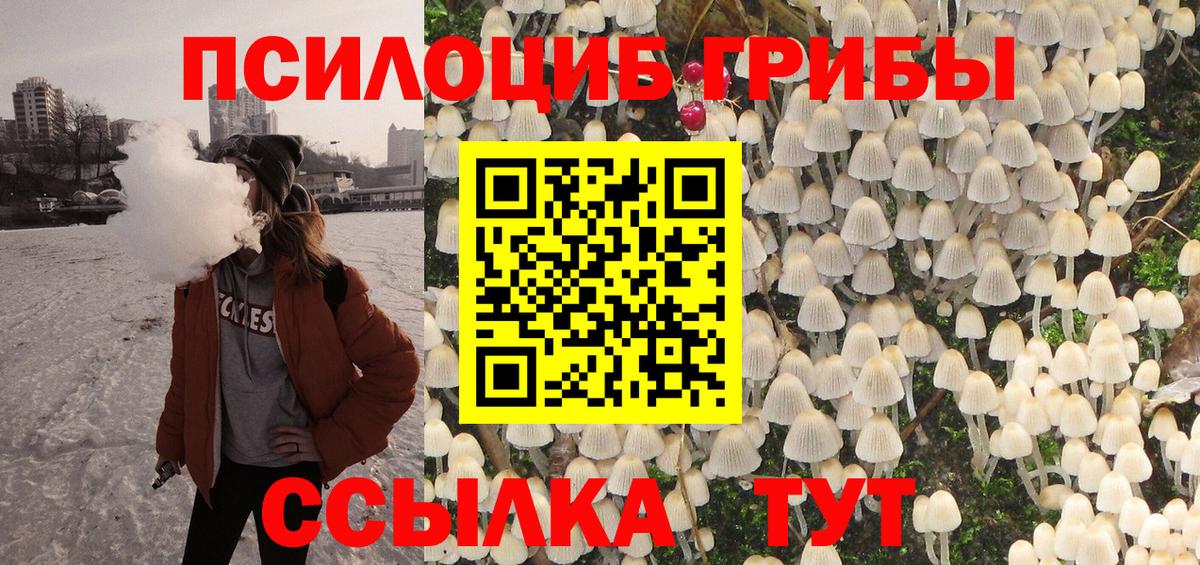 Галлюциногенные грибы Cubensis  Галлюциногенные грибы мицелий  Вход с VPN  Кимовск 